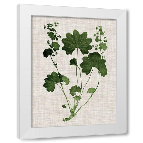 Forest Foliage on Linen IV White Modern Wood Framed Art Print by Vision Studio