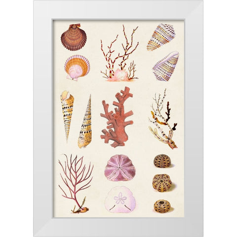 Coral And Shell Collage II White Modern Wood Framed Art Print by Vision Studio
