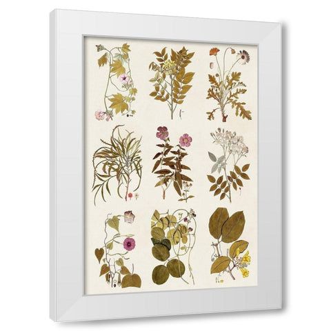 Antique Floral Grid II White Modern Wood Framed Art Print by Vision Studio
