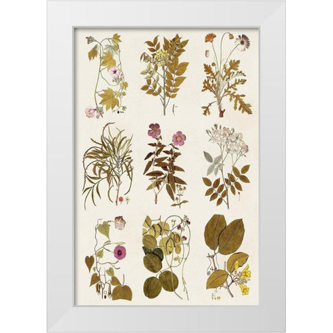 Antique Floral Grid II White Modern Wood Framed Art Print by Vision Studio