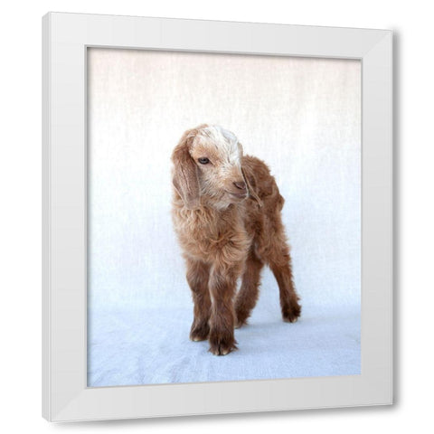 Friday White Modern Wood Framed Art Print by Soderman, Tania