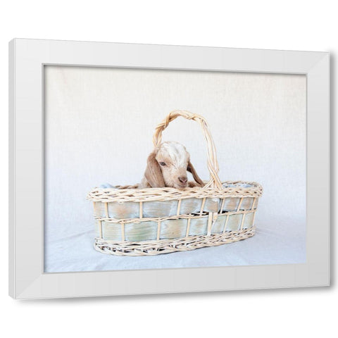 Friday in Basket II White Modern Wood Framed Art Print by Soderman, Tania