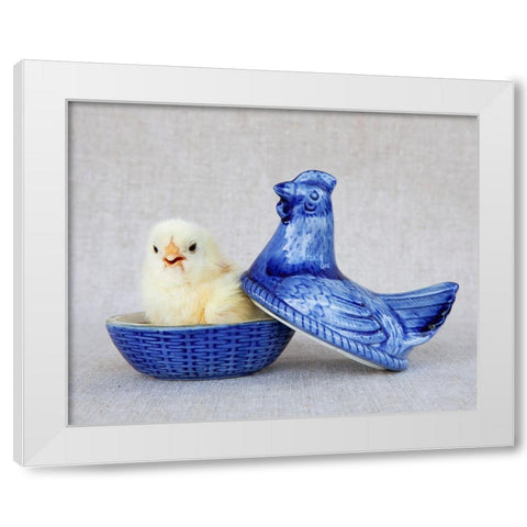 Chick in Blue Hen White Modern Wood Framed Art Print by Soderman, Tania