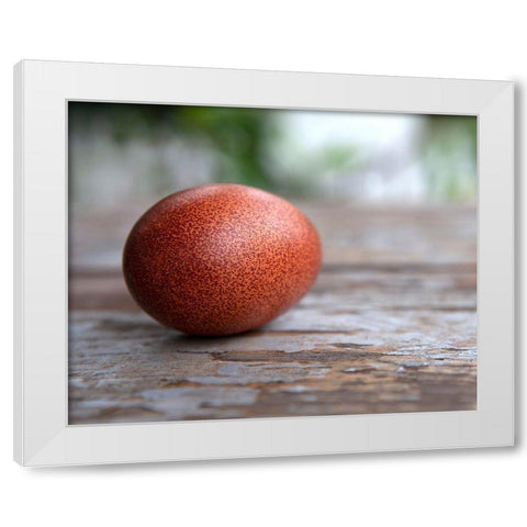 Egg on Wood White Modern Wood Framed Art Print by Soderman, Tania