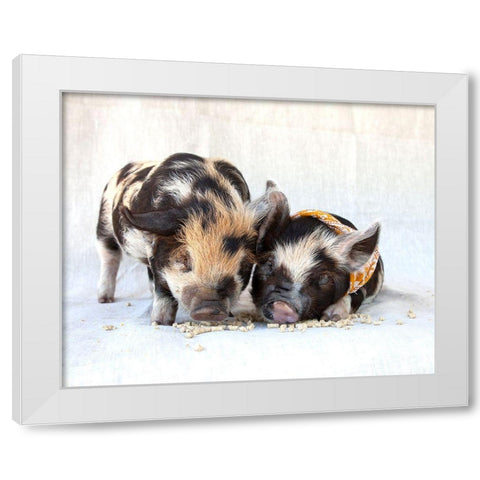 Fiona And Ferdinand II White Modern Wood Framed Art Print by Soderman, Tania