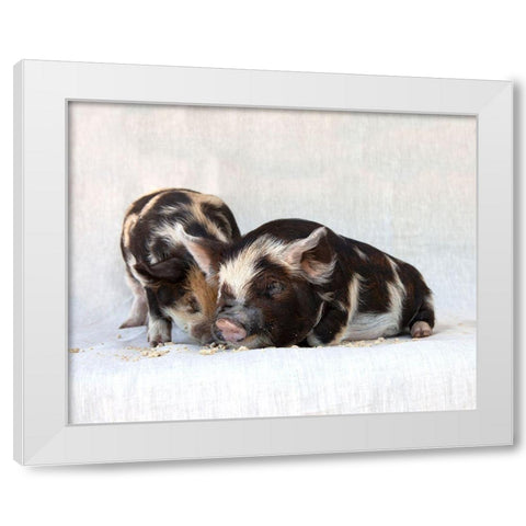 Fiona And Ferdinand III White Modern Wood Framed Art Print by Soderman, Tania