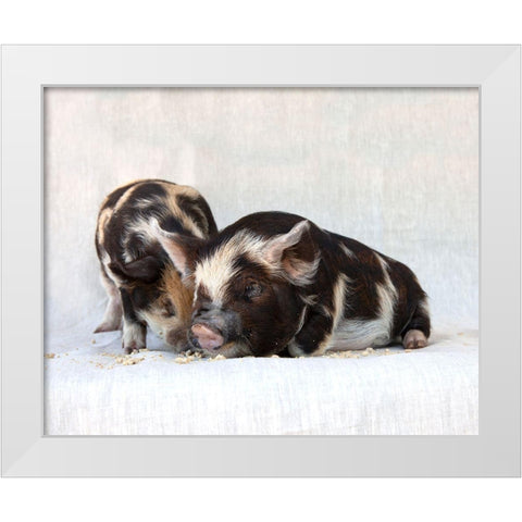 Fiona And Ferdinand III White Modern Wood Framed Art Print by Soderman, Tania
