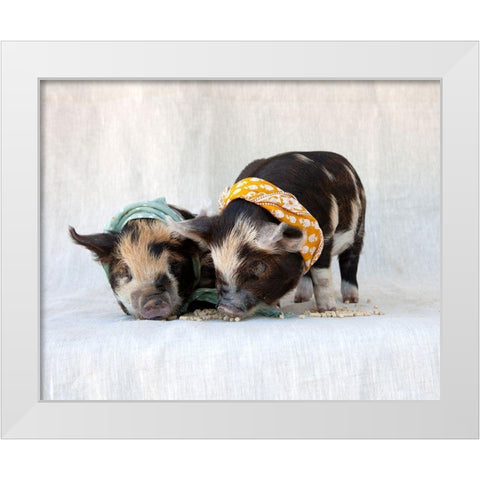 Fiona And Ferdinand IV White Modern Wood Framed Art Print by Soderman, Tania