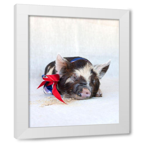 Fiona with Ribbon White Modern Wood Framed Art Print by Soderman, Tania