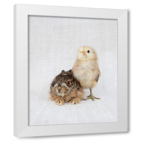 Chick And Baby Rabbit White Modern Wood Framed Art Print by Soderman, Tania