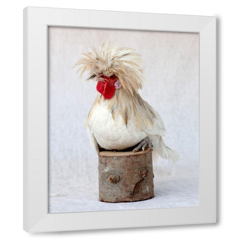 Rod the Rooster I White Modern Wood Framed Art Print by Soderman, Tania