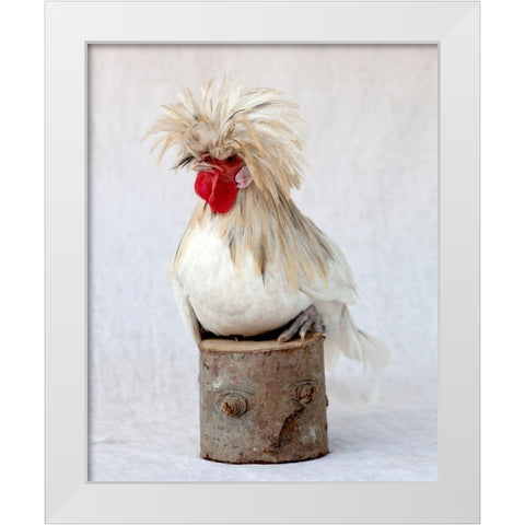 Rod the Rooster I White Modern Wood Framed Art Print by Soderman, Tania