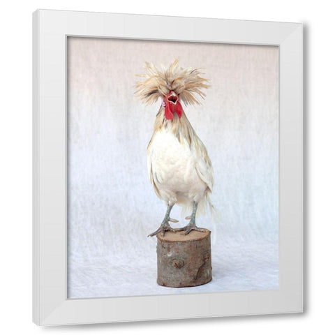 Rod the Rooster III White Modern Wood Framed Art Print by Soderman, Tania