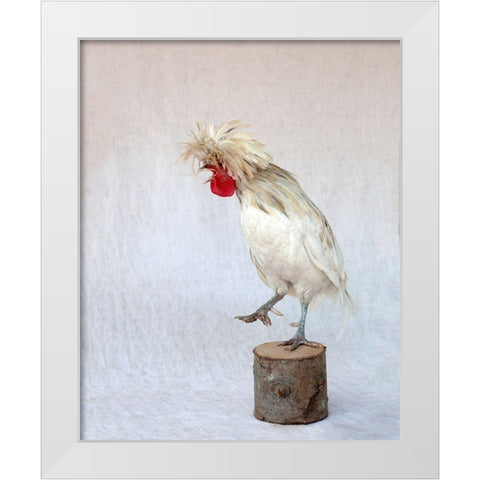 Rod the Rooster IV White Modern Wood Framed Art Print by Soderman, Tania