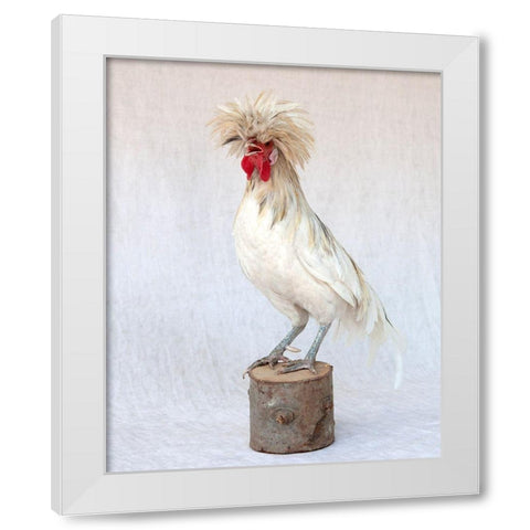 Rod the Rooster V White Modern Wood Framed Art Print by Soderman, Tania