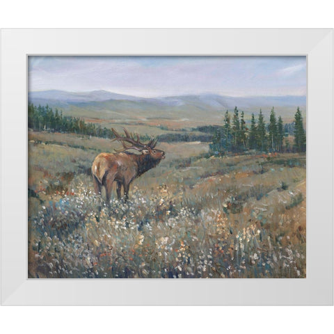 Western Wildlife I White Modern Wood Framed Art Print by OToole, Tim