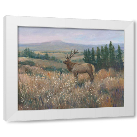 Western Wildlife II White Modern Wood Framed Art Print by OToole, Tim