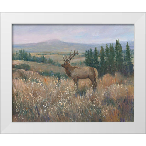 Western Wildlife II White Modern Wood Framed Art Print by OToole, Tim