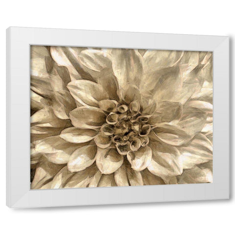 Neutral Wall Flower I White Modern Wood Framed Art Print by Saunders, Alonzo