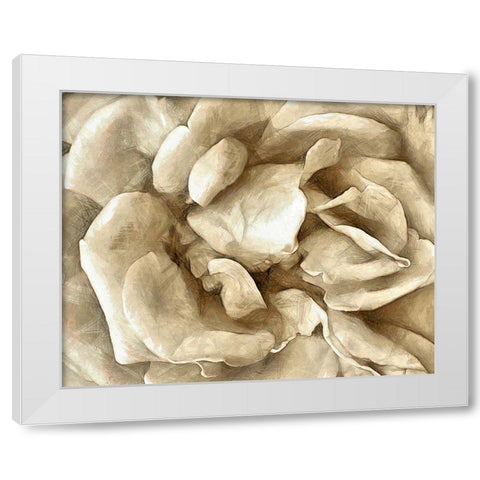 Neutral Wall Flower II White Modern Wood Framed Art Print by Saunders, Alonzo
