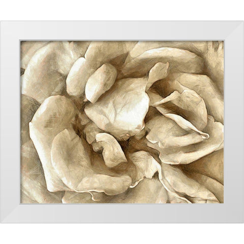 Neutral Wall Flower II White Modern Wood Framed Art Print by Saunders, Alonzo
