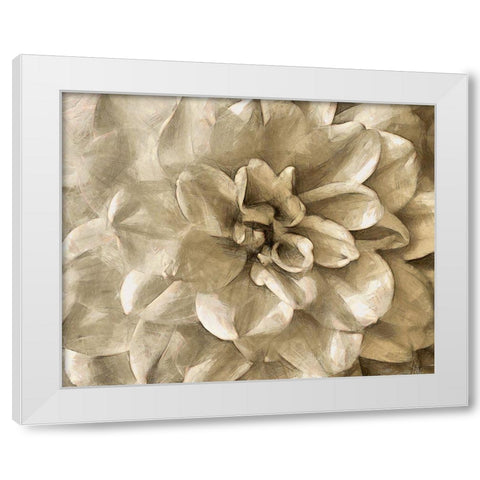 Neutral Wall Flower III White Modern Wood Framed Art Print by Saunders, Alonzo