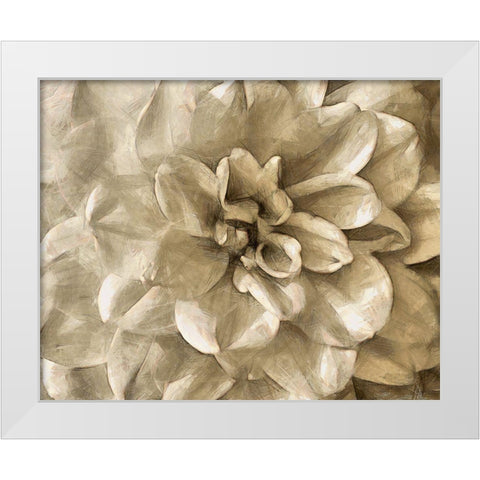 Neutral Wall Flower III White Modern Wood Framed Art Print by Saunders, Alonzo