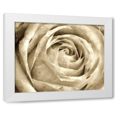 Neutral Wall Flower IV White Modern Wood Framed Art Print by Saunders, Alonzo