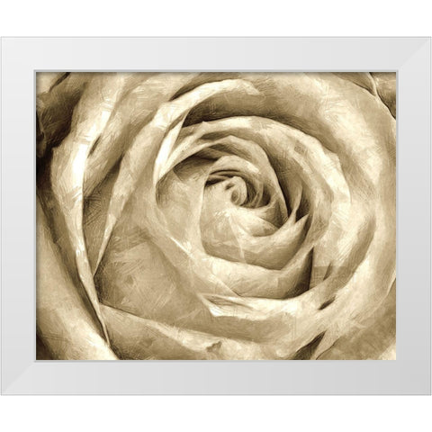 Neutral Wall Flower IV White Modern Wood Framed Art Print by Saunders, Alonzo