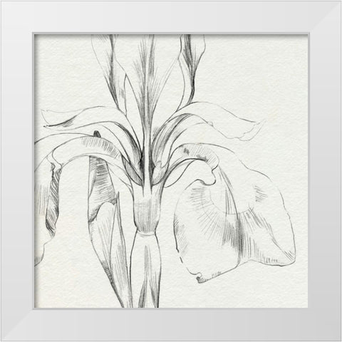 Iris Sketch Okeefe Crop I White Modern Wood Framed Art Print by Caroline, Emma