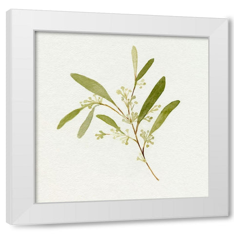 Eucalyptus Collection II White Modern Wood Framed Art Print by Caroline, Emma