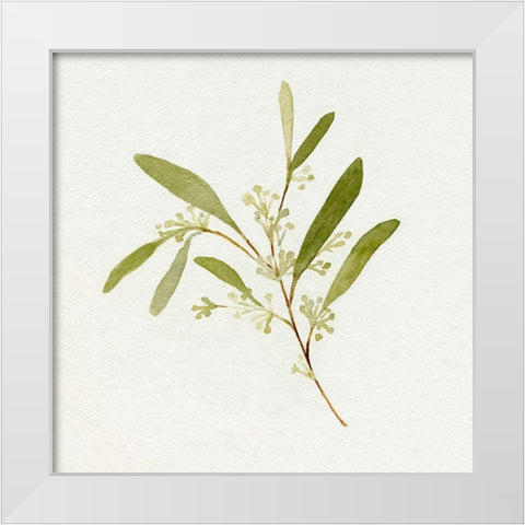 Eucalyptus Collection II White Modern Wood Framed Art Print by Caroline, Emma