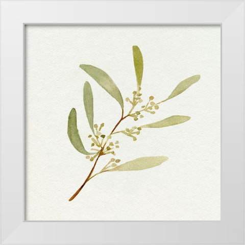 Eucalyptus Collection III White Modern Wood Framed Art Print by Caroline, Emma