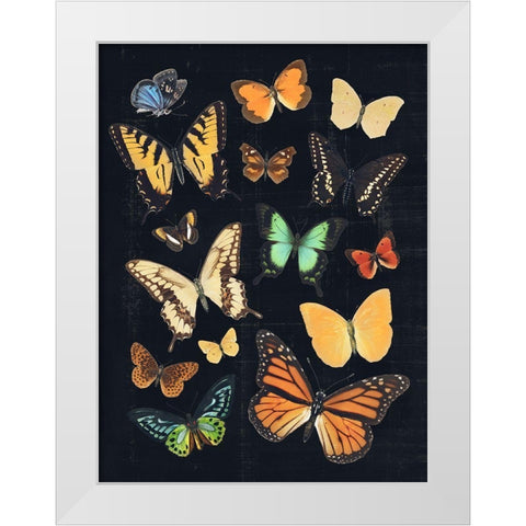 Collected Flutter III White Modern Wood Framed Art Print by Barnes, Victoria