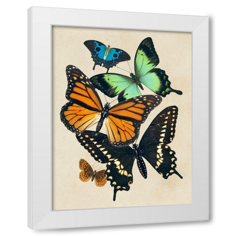 Collaged Butterflies I White Modern Wood Framed Art Print by Barnes, Victoria