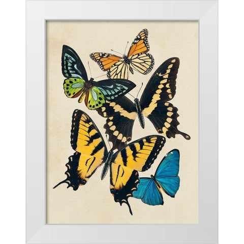 Collaged Butterflies II White Modern Wood Framed Art Print by Barnes, Victoria