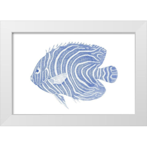 Blue And White Tropical Fish II White Modern Wood Framed Art Print by Vision Studio