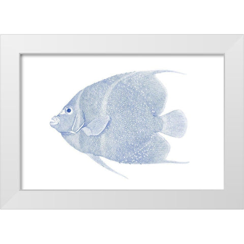 Blue And White Tropical Fish V White Modern Wood Framed Art Print by Vision Studio
