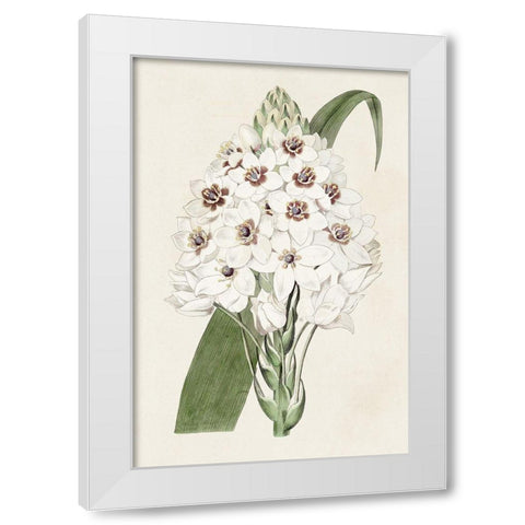 Flore Albo II White Modern Wood Framed Art Print by Ridgeway