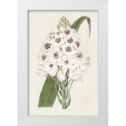 Flore Albo II White Modern Wood Framed Art Print by Ridgeway