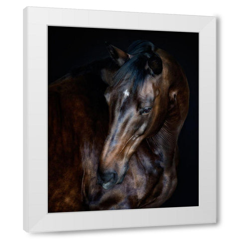 Sunlit Horses I White Modern Wood Framed Art Print by PHBurchett