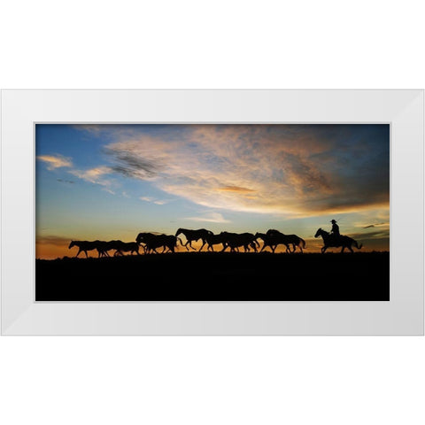 Sunlit Horses V White Modern Wood Framed Art Print by PHBurchett