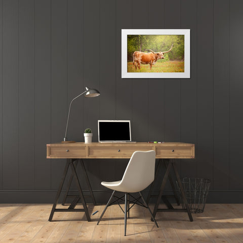 Sunlit Midwest I White Modern Wood Framed Art Print by PHBurchett
