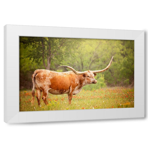 Sunlit Midwest I White Modern Wood Framed Art Print by PHBurchett