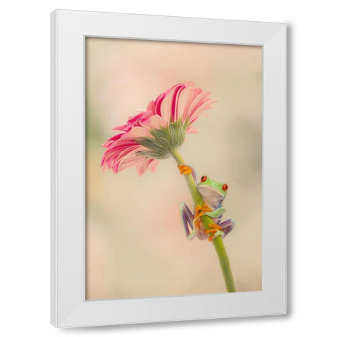 Hanging On I White Modern Wood Framed Art Print by PHBurchett