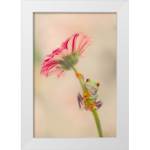 Hanging On I White Modern Wood Framed Art Print by PHBurchett