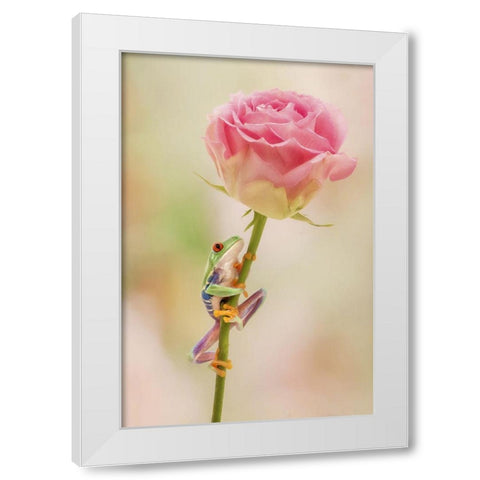Hanging On II White Modern Wood Framed Art Print by PHBurchett