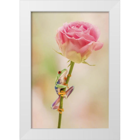 Hanging On II White Modern Wood Framed Art Print by PHBurchett