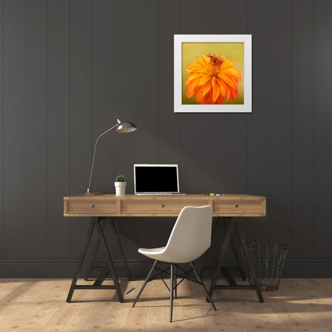 Hanging On IV White Modern Wood Framed Art Print by PHBurchett