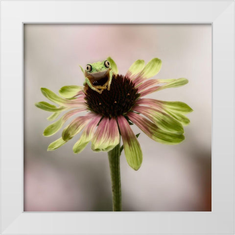 Hanging On V White Modern Wood Framed Art Print by PHBurchett